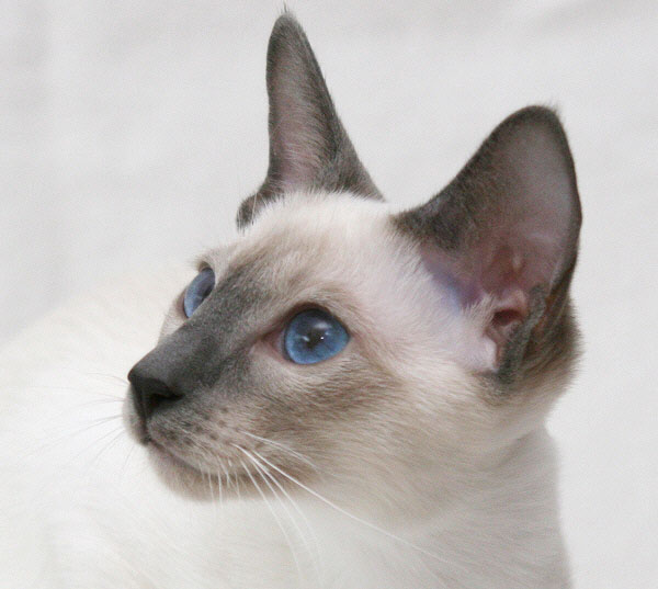 Photo: Carolin Skirl