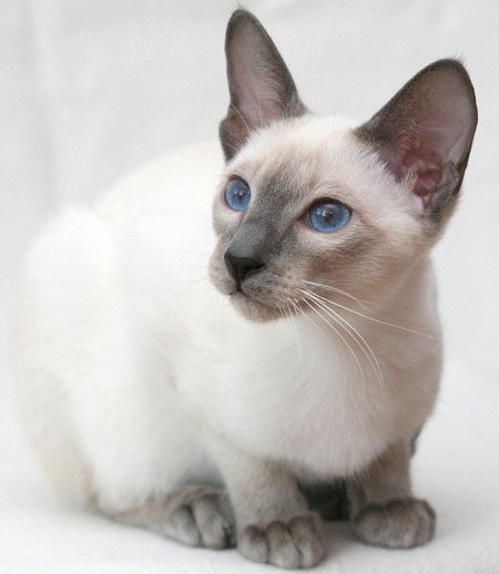 Photo: Carolin Skirl