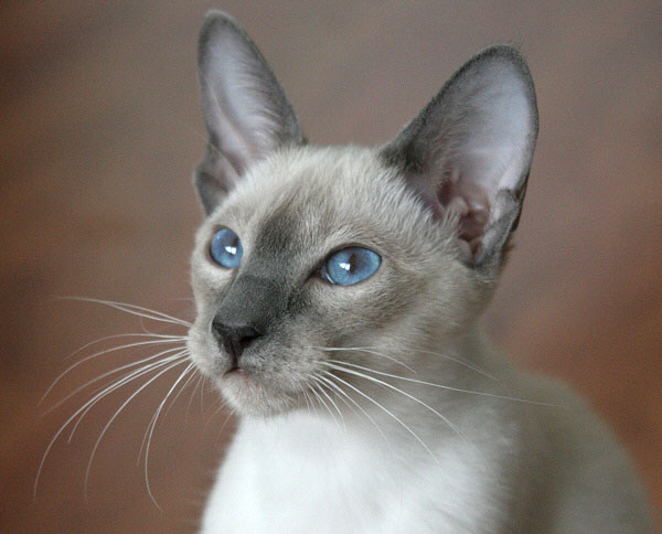 Photo: Carolin Skirl